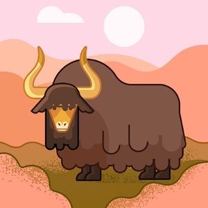 Meet your Posher, Aida